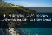 十二生肖背后的‘灰产’怎么运作：从引流到收割的5步：这不是危言耸听