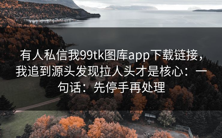 有人私信我99tk图库app下载链接，我追到源头发现拉人头才是核心：一句话：先停手再处理